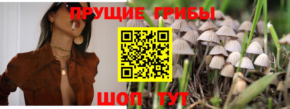 Буйнакск  Галлюциногенные грибы GOLDEN TEACHER  Вход с VPN 